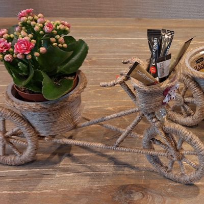 fietsje crea (2)